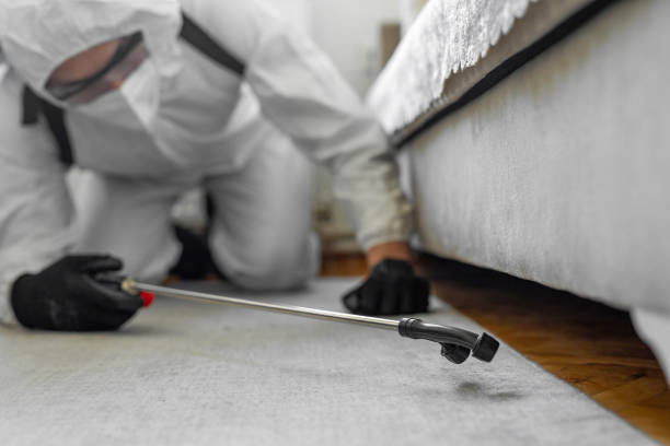 Professional Cockroach Control technician working in Garrett, TX