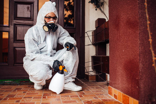 Reliable Cockroach Control contractor in Garrett, TX by Nex Pest Control