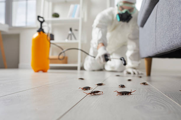 Affordable Cockroach Control solutions in Garrett, TX